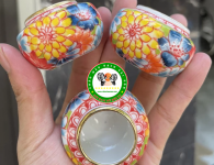 Cóng Chim Chào Mào Vẽ Tay
