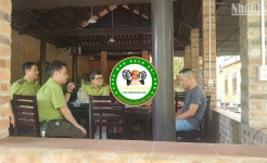 Kiểm lâm TP.HCM khuyến cáo mua bán chim cảnh cần tuân thủ gì?