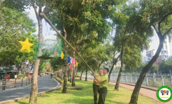 Tháo gỡ hàng loạt lồng bẫy kèm máy phát dụ bắt chim bên kênh Nhiêu Lộc - Thị Nghè