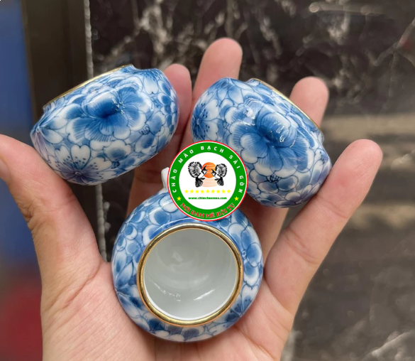 Cóng Chim Chào Mào Vẽ Tay