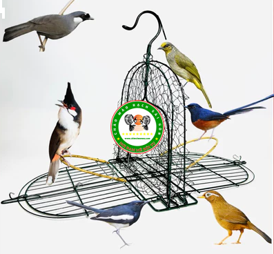 Mẹt Bẫy Chim Đa Năng Chào Mào, Chòe, Mi, Khướu, Hoành Hoạch