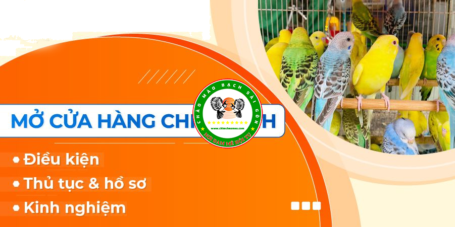 Thủ tục, điều kiện, kinh nghiệm mở cửa hàng bán chim cảnh