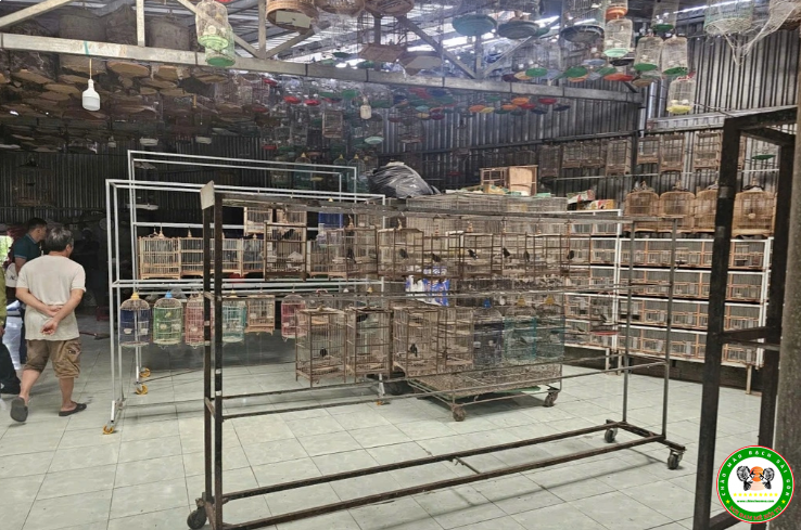 Một cơ sở nuôi chim cảnh vi phạm bị công an khám xét